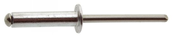 RIVET INOX   4.8X25
